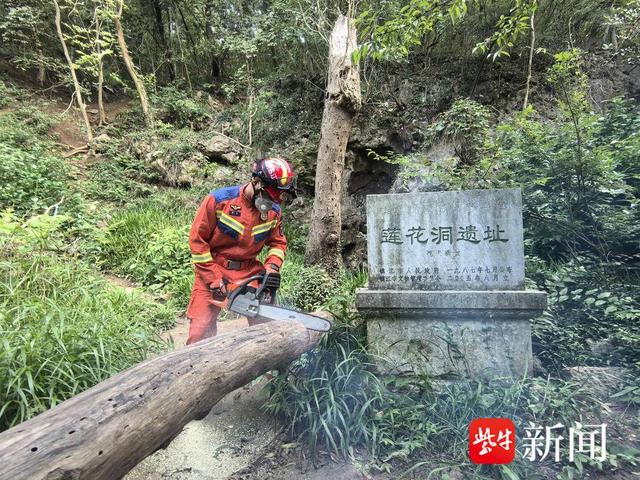 枯树挡道成“拦路虎”？镇江志愿者联合消防冒40度高温清除