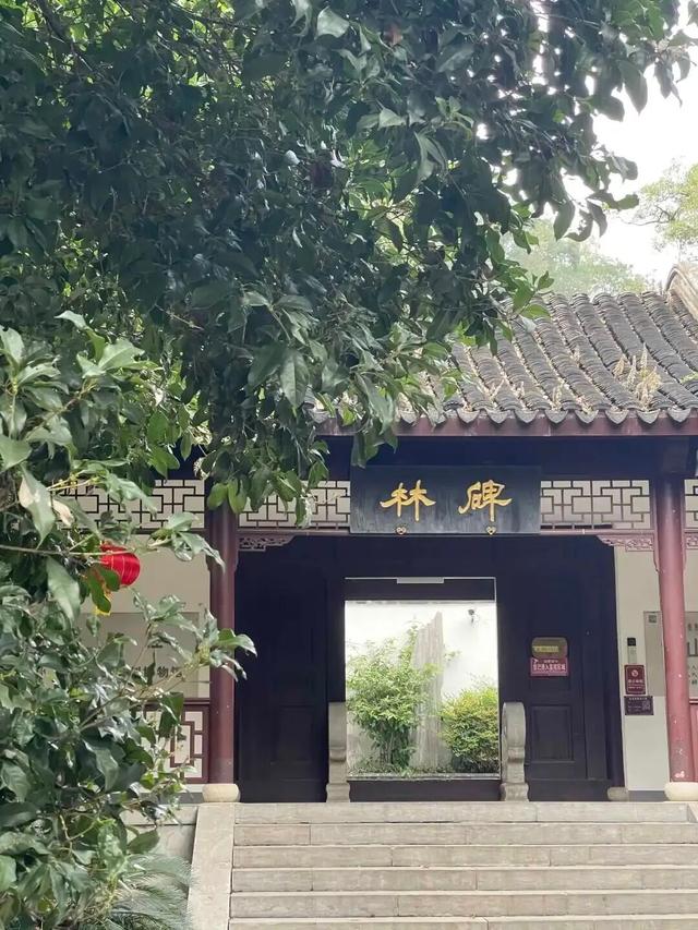 镇江100个醉美打卡点 | 第五波citywalk感受文化是打开镇江的正确方法