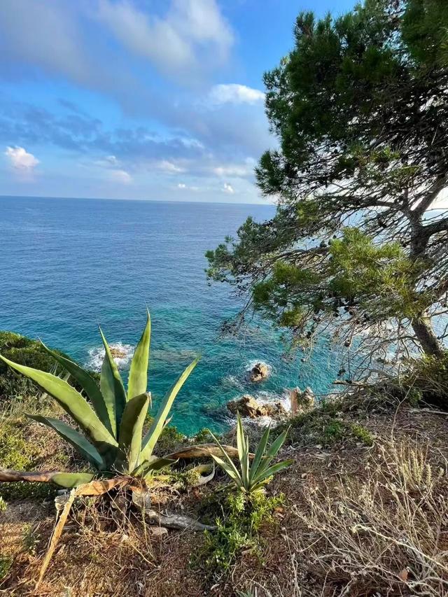 西班牙旅行随笔之加泰罗尼亚（上）