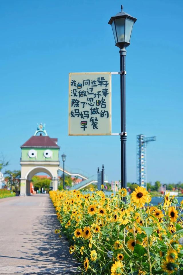 别只惦记红叶了！安徽的秋天，是五彩斑斓的！