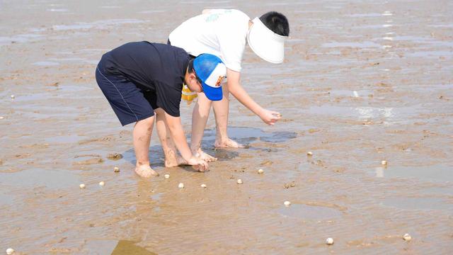 滩涂寻蛤、渔港抢鲜……上海家庭乐游如东之“鲜”