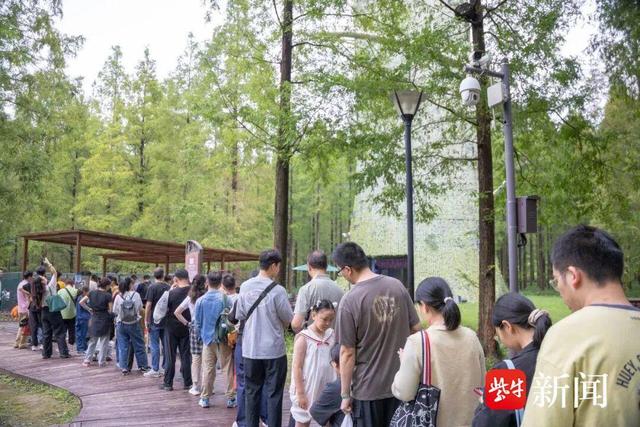 8天吸金13.65亿元！国庆中秋双节盐城文旅市场红火沸腾
