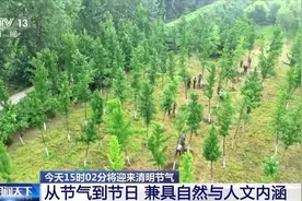从节气到节日，这些关于清明的知识你了解吗？图片