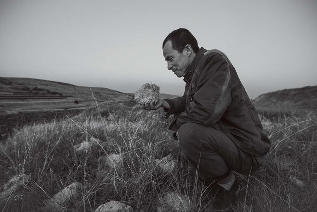 西海固：汗土上的新生