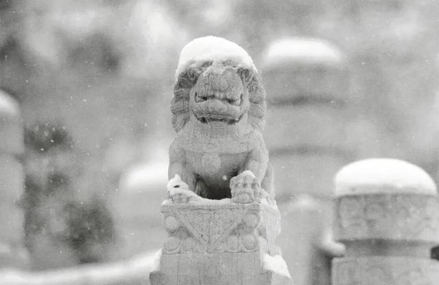 京郊冬日疗愈之旅 | 解锁北京小汤山医院绝美雪景