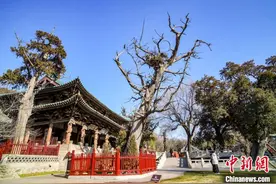 江山如画｜千年皇家园林晋祠：老景区焕发新活力图片