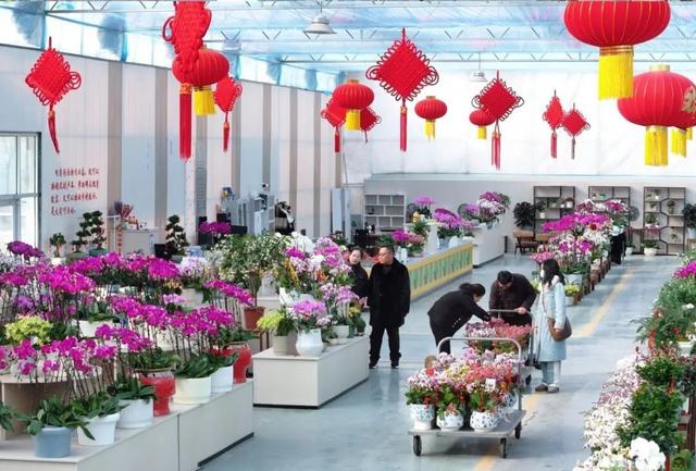 全省推荐！过年来宿迁！