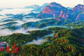 广东连续17年提高公益林补偿标准图片