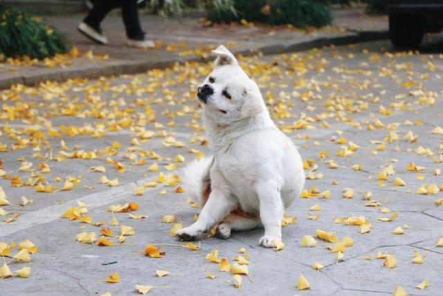 日照街道的这些地方！美极了！