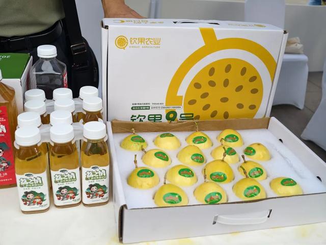 “渝”见广西，探边玩海！“钦钦”走进重庆