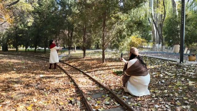 聚焦 || 银川全面入冬了？不！这里把“秋天”留下了……