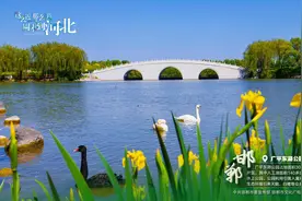 这么近 那么美 周末到河北——邯郸·广平东湖公园图片