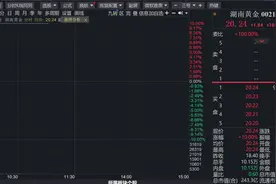又涨停！发现金矿？湖南黄金：最终能够注入上市公司的黄金资源以评审备案的储量为准图片