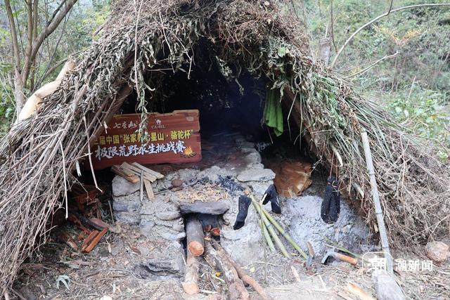 一场摸索于山野、流量与规则之间的“荒野求生”