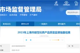 2023年上海市磁性玩具产品质量监督抽查结果公布图片