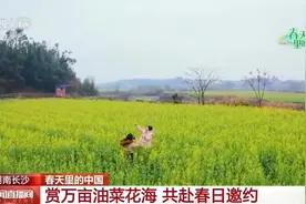 “花式”报春 万物复苏 各地春色醉游人图片
