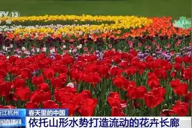 春花烂漫 万象“耕”新！春天里的中国活力满满图片