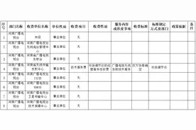 河南广播电视台及下属单位综合性涉企收费目录清单图片