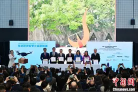 香江观澜：向天空要生产力 香港低空经济“振翅起飞”图片