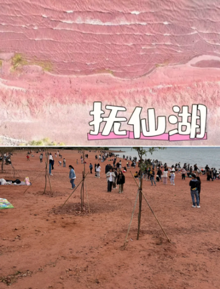 让 AI 帮我制定假日旅游路线，很完美，除了目的地不存在