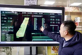 陕西眉县猕猴桃的“甜蜜密码”图片