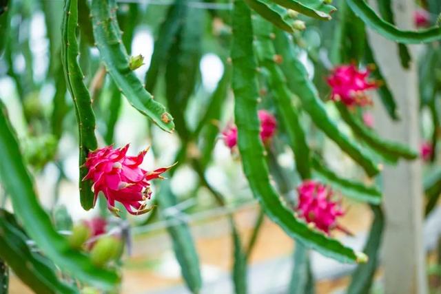 溧水赏秋指南，这周末就出发！