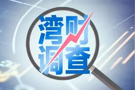 盗版LABUBU产业链调查：防伪码配套山寨网站一条龙造假图片
