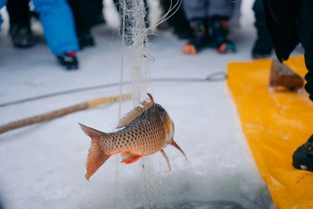 【独立营】小记者冬令营启程!一起感受北纬45°的冰雪童话王国