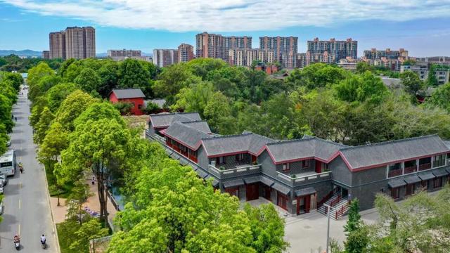 守护千年城厢绿脉！古镇树木复壮及管护升级行动全面展开