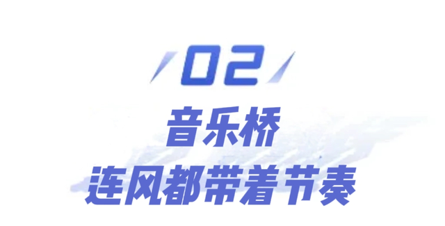 瞧～濮阳的“桥桥”