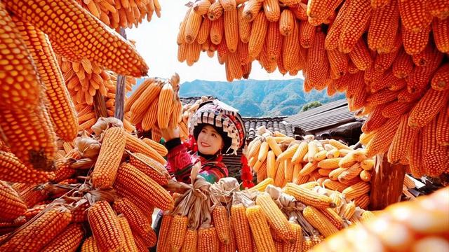 今天，楚雄要给你点颜色看看