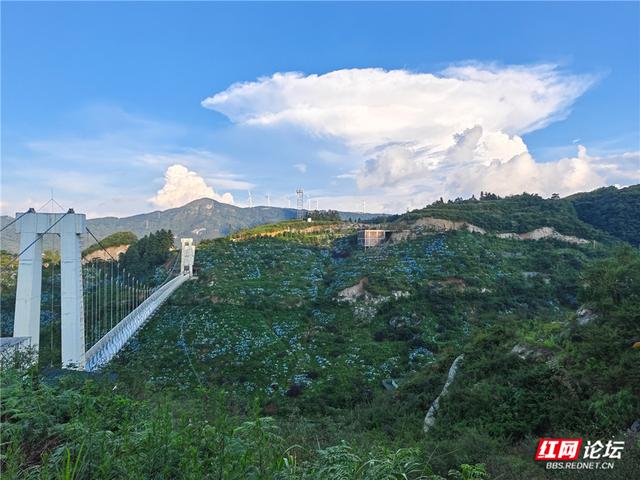 高清湖南丨花海与云海，隆回龙瑶幽谷的双重浪漫