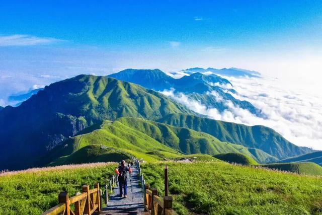 2026来江西，春夏秋冬都有趣！