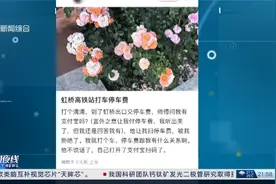 夜线约见：叫了网约车，谁付停车费？视频封面