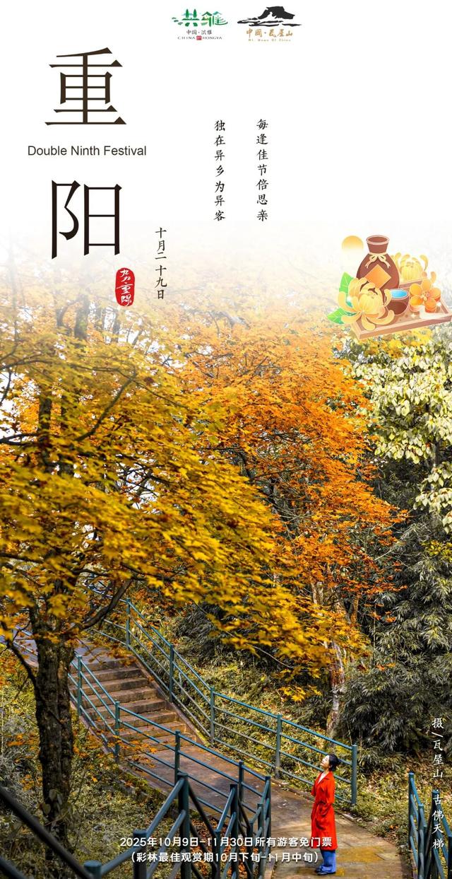 【秋赏红叶】2025年10月29日