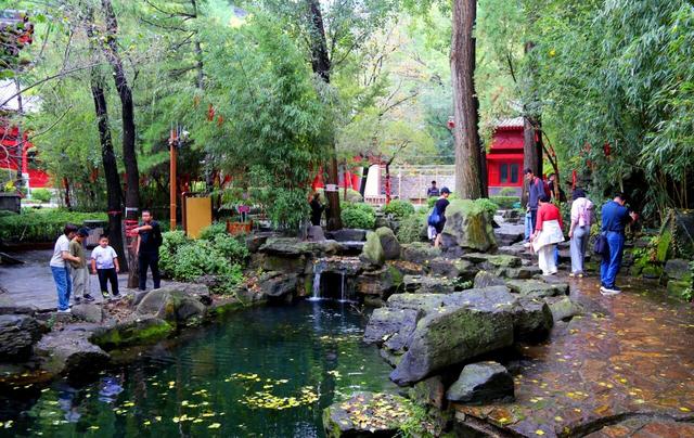 雨天不冷场、体验超亮眼！双节假期“好客山东”靠什么圈粉？