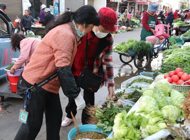 罗平“春味”正鲜，错过再等一年