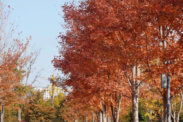 普陀·遇见新视角｜解锁专属你的氛围感大片，秋冬就来普陀这里拍→