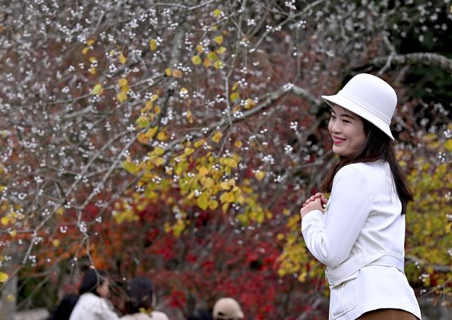 福州九峰村冬景迷人