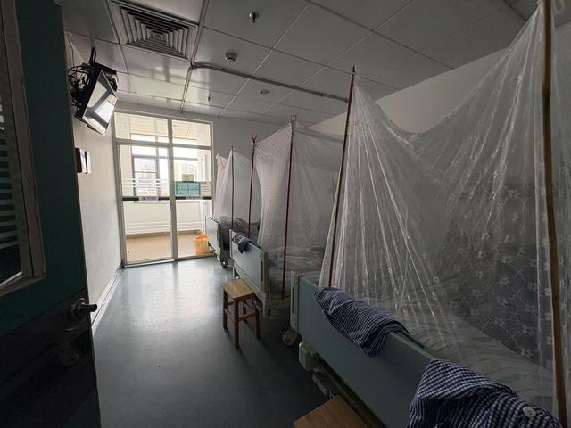记者实探佛山基孔肯雅热疫情