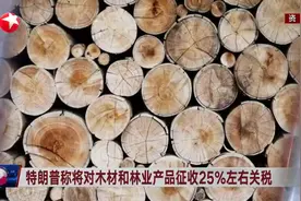 特朗普称将对木材和林业产品征收25%左右关税视频封面