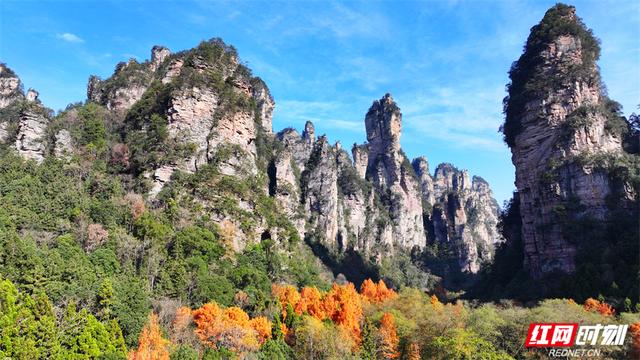 冬日暖阳映峰林 张家界国家森林公园冬游火热