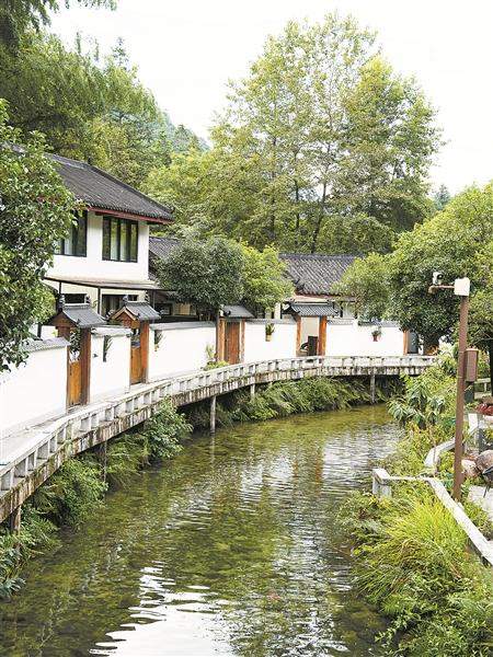 点绿成金的“发展密码”
