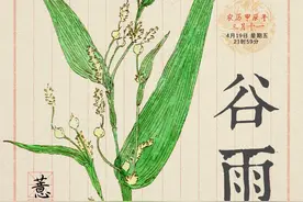 谷雨｜春季湿气重？试试祛湿界的“网红”，这样吃效果才好图片