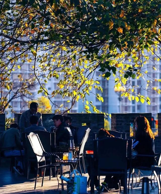 冬季暖阳 凉山不凉