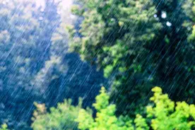 芒种节气到，江苏人一年一度与梅雨的纠缠即将上演图片