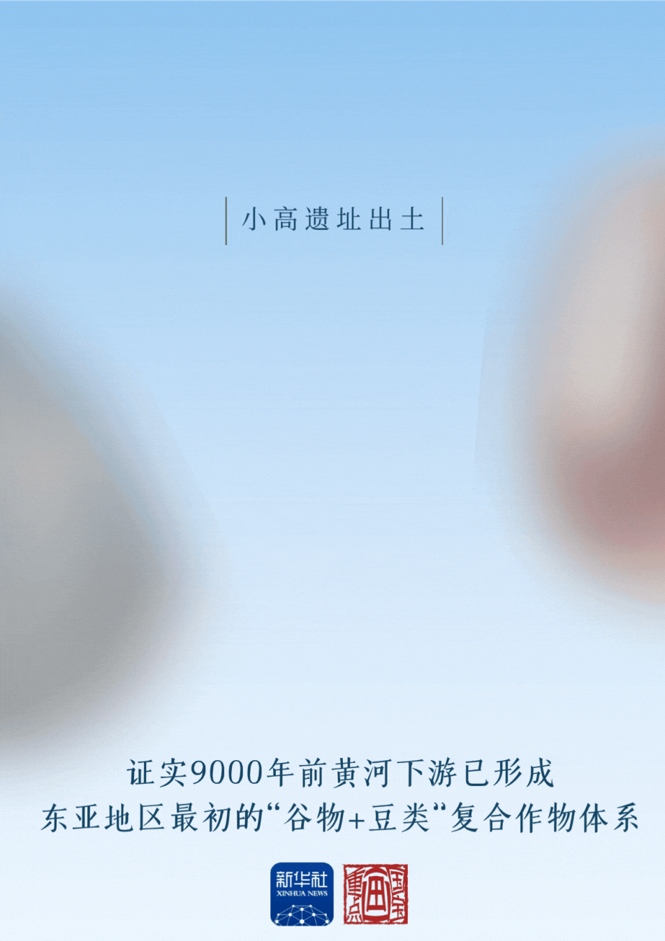 国宝画重点丨9000年前，先民们这样摄入“优质蛋白”