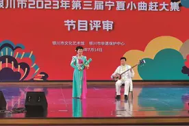 银川市残疾人艺术团团长王瑞艳 希望每一位残疾人都能站在阳光里图片