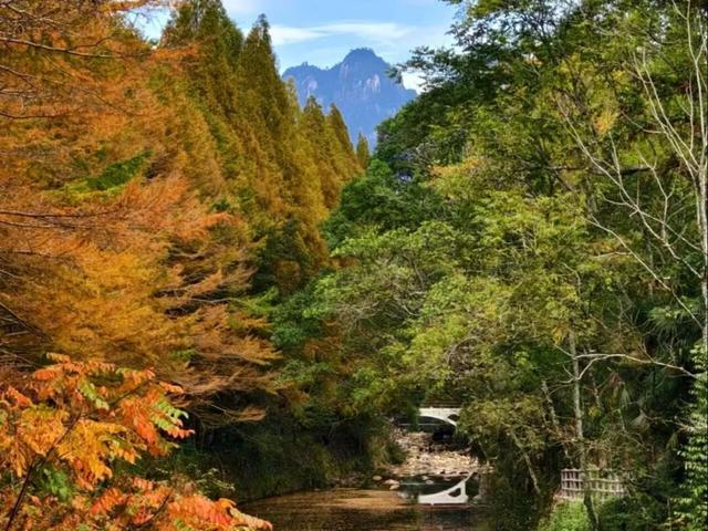 在上饶德兴享受独处的快乐，5个静谧空间超适合i人！