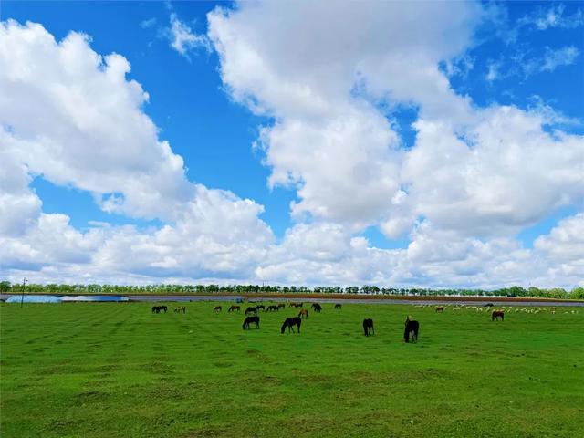 夏游张家口 消夏避暑季| 畅玩河北坝上之张家口张北篇